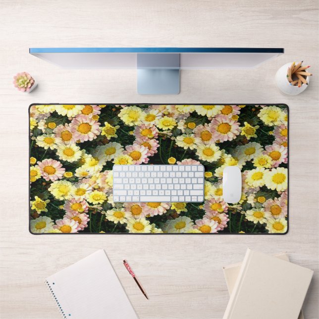Daisies Galore...... (Bureau 1)