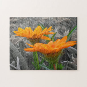 Daisies Puzzle