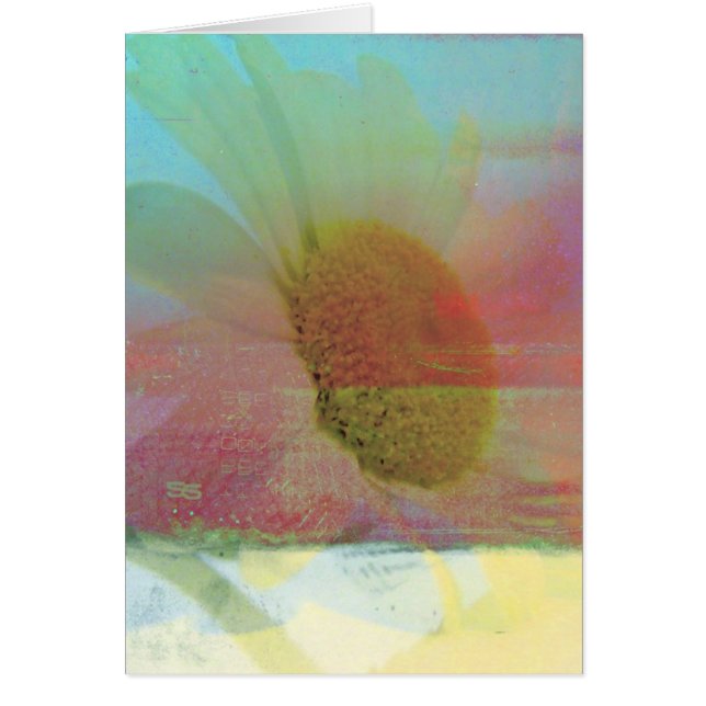 Daisy (Devant)
