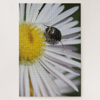 "Daisy & Bumblebee Puzzle - La petite harmonie de 