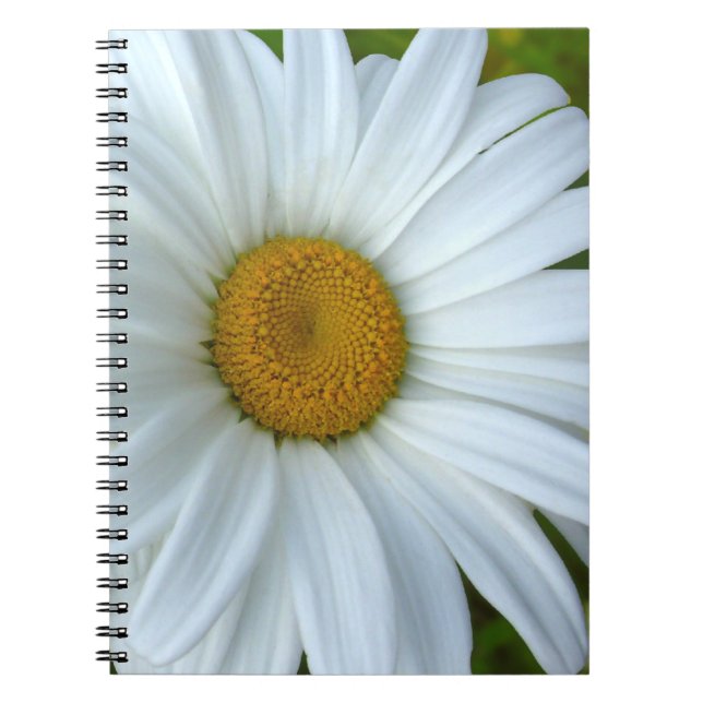 Daisy Carnet Classic Daisy Journaux Cadeaux Fleurs (Devant)