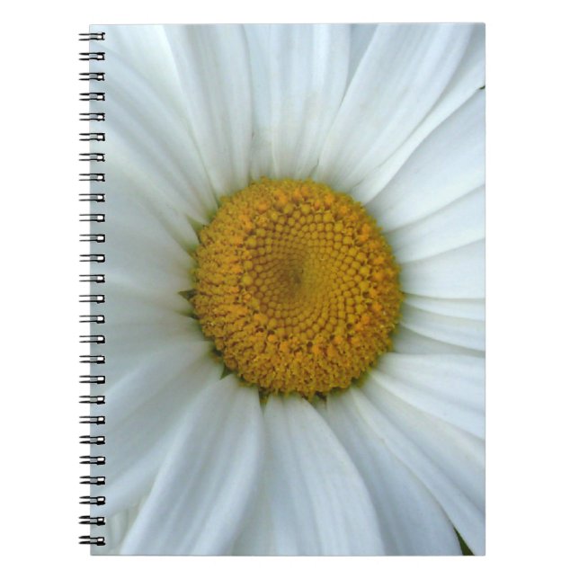 Daisy Carnet Classic Daisy Journaux Cadeaux Fleurs (Devant)