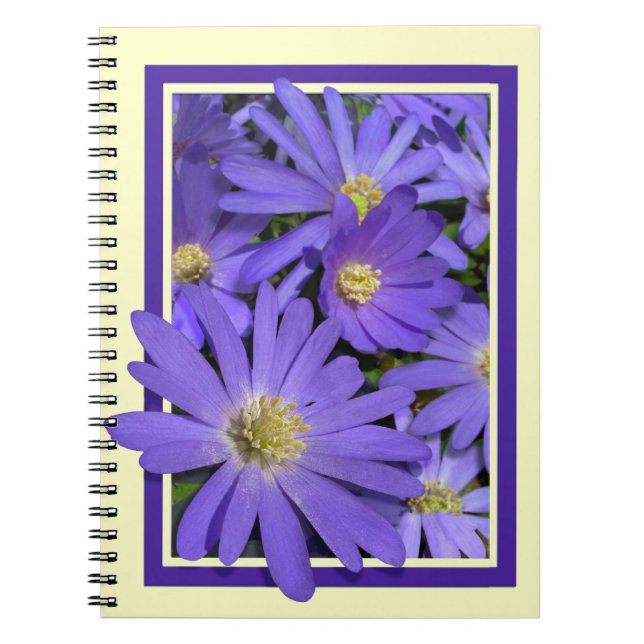 Daisy Carnet Personnalisé Daisy Flower Journal (Devant)