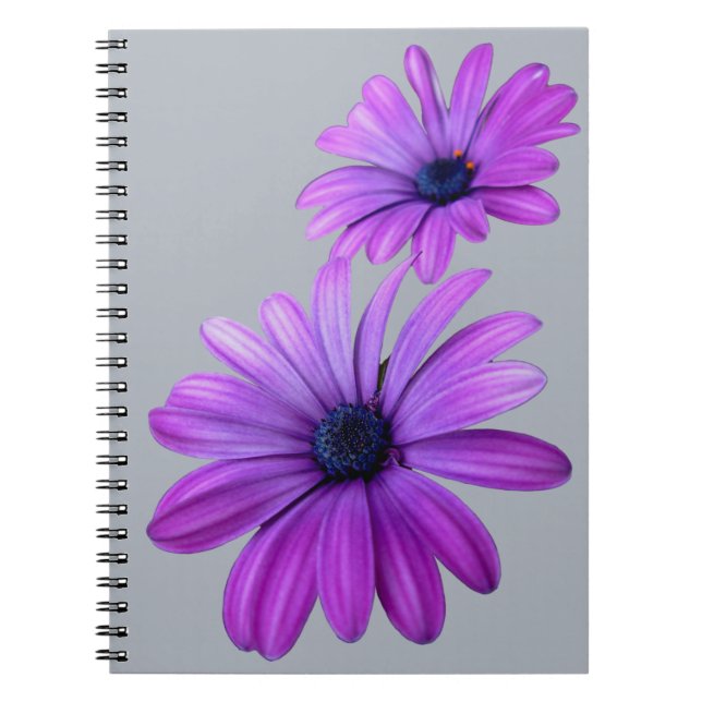 Daisy Carnet Purple Daisy Journaux Cadeaux (Devant)