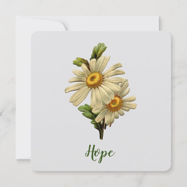 Daisy Hope Inspiration (Devant)