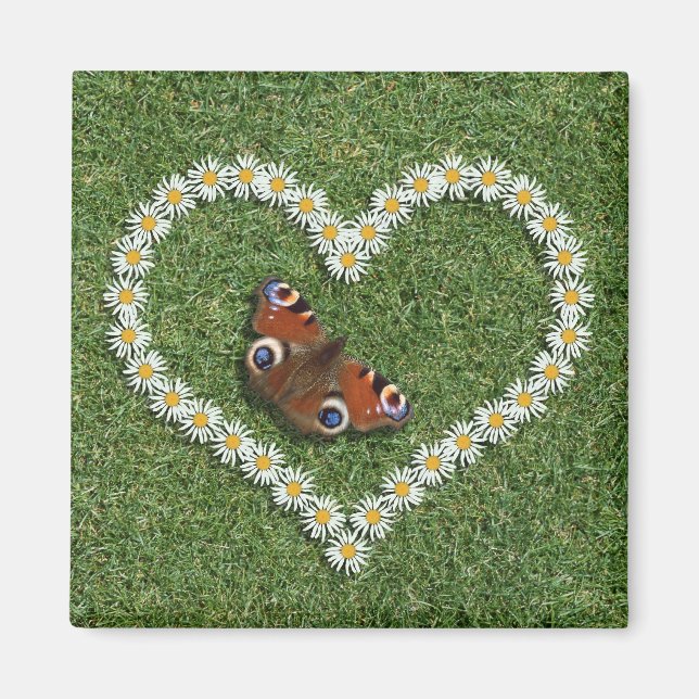 Daisy Love Coeur Et Papillon Frigidaire Magnet (Devant)