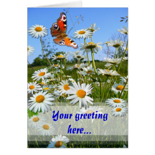 DAISY MEADOW ~ Carte