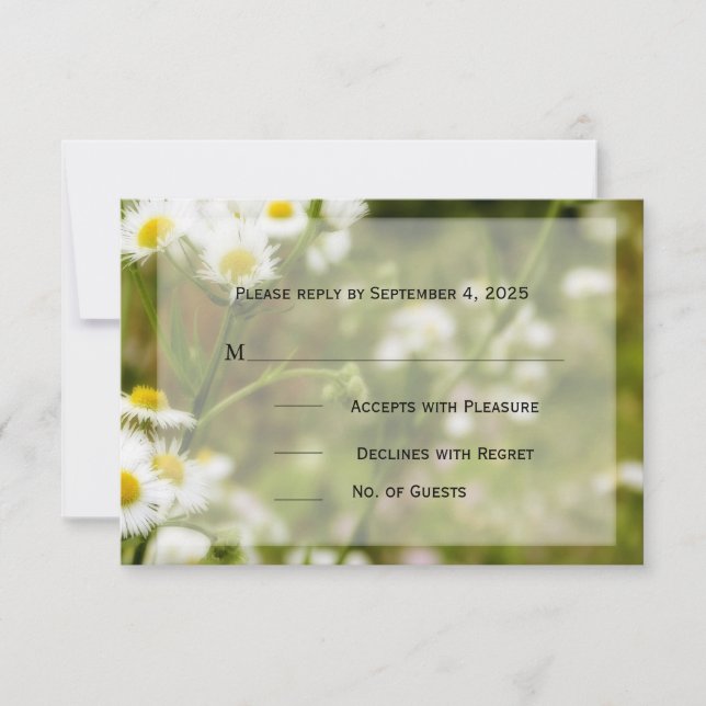 Daisy Meadow RSVP (Devant)
