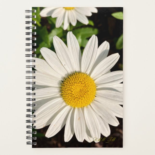 Daisy of a Planner. (Devant)