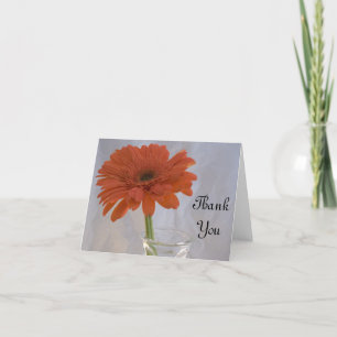 Daisy Orange dans le Vase Merci