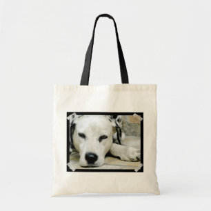 Dalmate reposant le petit sac fourre-tout