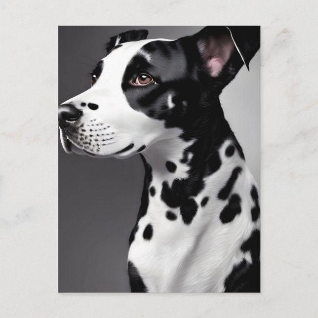 Dalmatie, Carte postale de poste (Devant)