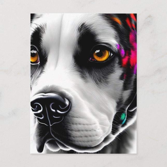 Dalmatie, Carte postale de poste (Devant)