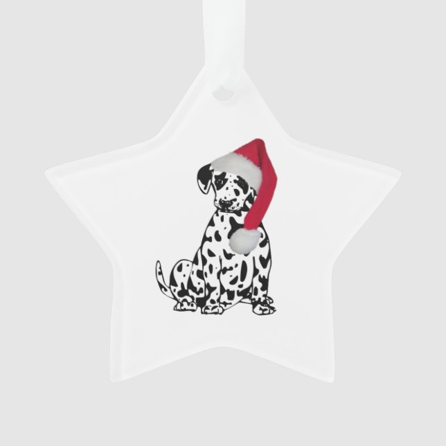 Dalmatie de Noël (devant)