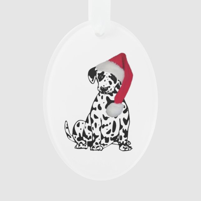 Dalmatie de Noël (devant)