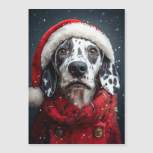 Dalmatie festive à Père Noël Attire