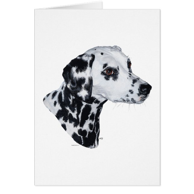 Dalmatien (Devant)