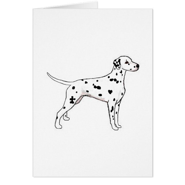 Dalmatien à pointes noires (Devant)