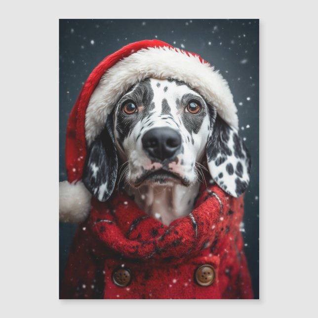 Dalmatien festif en tenue de Père Noël (Devant)