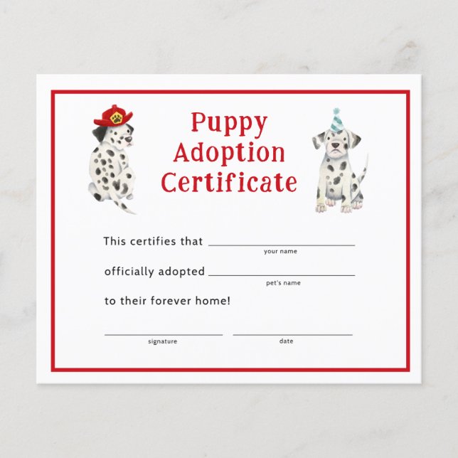 Dalmatiens Boy Party Puppy Adoption Certificat (Devant)