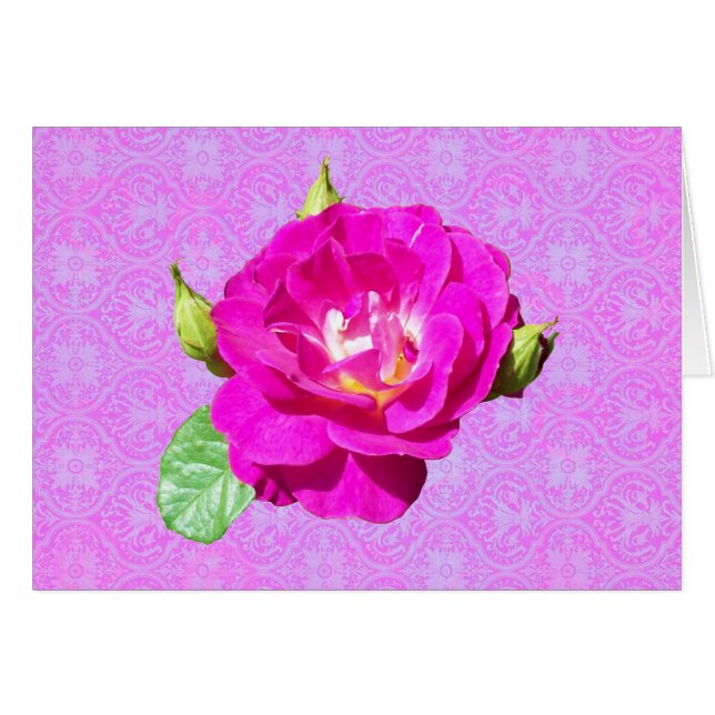Damassé rose de violette (Devant horizontal)