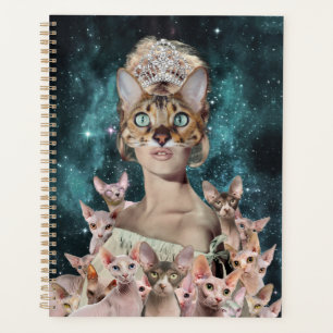 Dame du chat