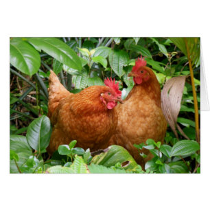 Dames dans l'attente