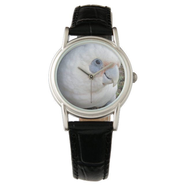 Dames Perruche Blanche Coquine, Montre Cuir (devant)