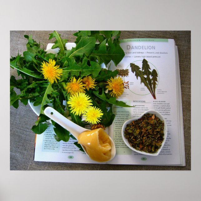 DANDELIERS POUR LA SANTÉ ~ Poster (Devant)