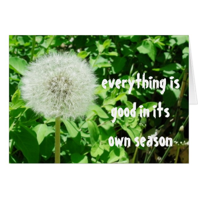 Dandelion (Devant horizontal)