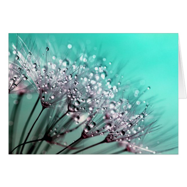 Dandelion (Devant horizontal)