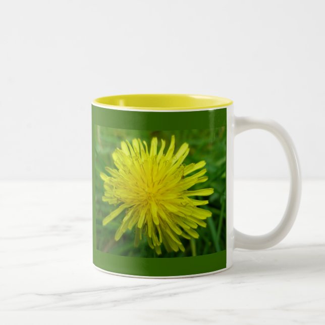 Dandelion 11 Oz. Mug (Droit)