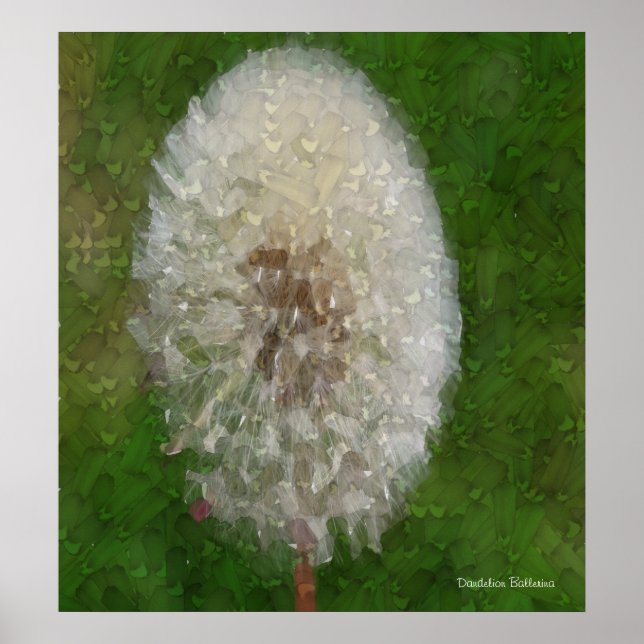 Dandelion Ballerina par Celeste Sheffey Poster (Devant)