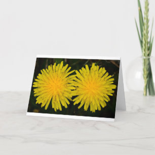Dandelion, carte