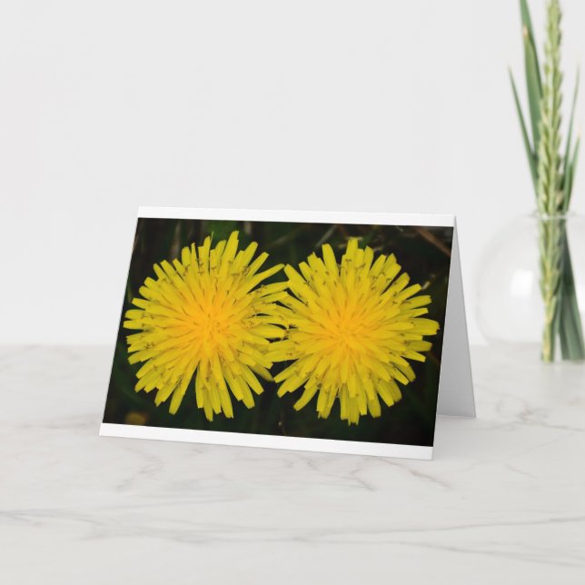 Dandelion, carte (Devant)