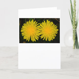 Dandelion, carte