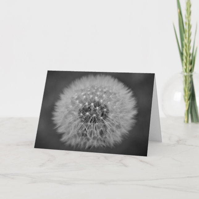 Dandelion, carte (Devant)