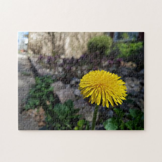 Dandelion créatif fleur photo puzzle puzzle (Horizontal)