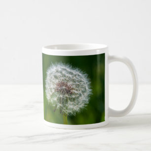 Dandelion Dans La Mug De Café Léger