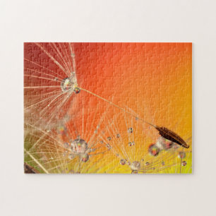 Dandelion Drops Puzzle Gift