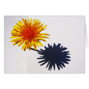 Dandelion et ombre gca