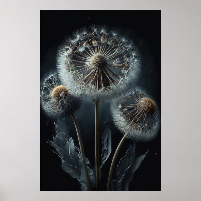 Dandelion Fleurs Art Affiche d'impression (Devant)