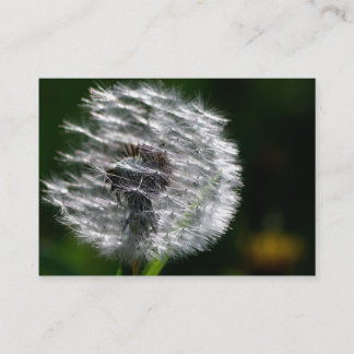 Dandelion Head Seed - Carte de visite