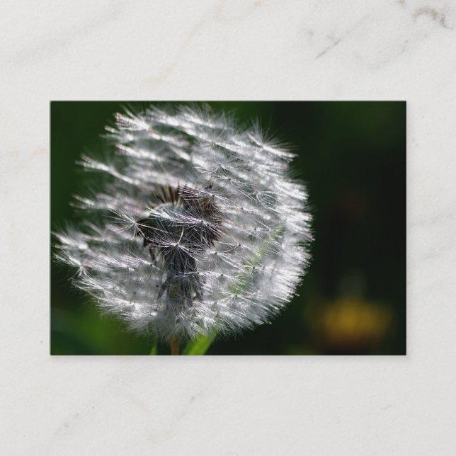 Dandelion Head Seed - Carte de visite (Devant)