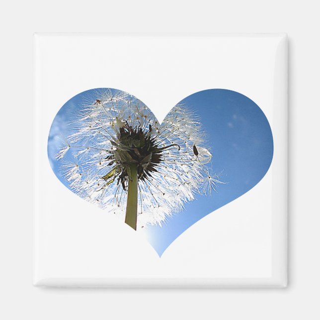 Dandelion Heart Magnet (Devant)