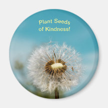 Dandelion Magnet Plante graines de gentillesse