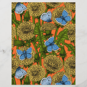 Dandelion medow