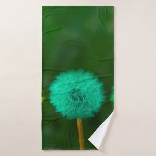 Dandelion multicolore