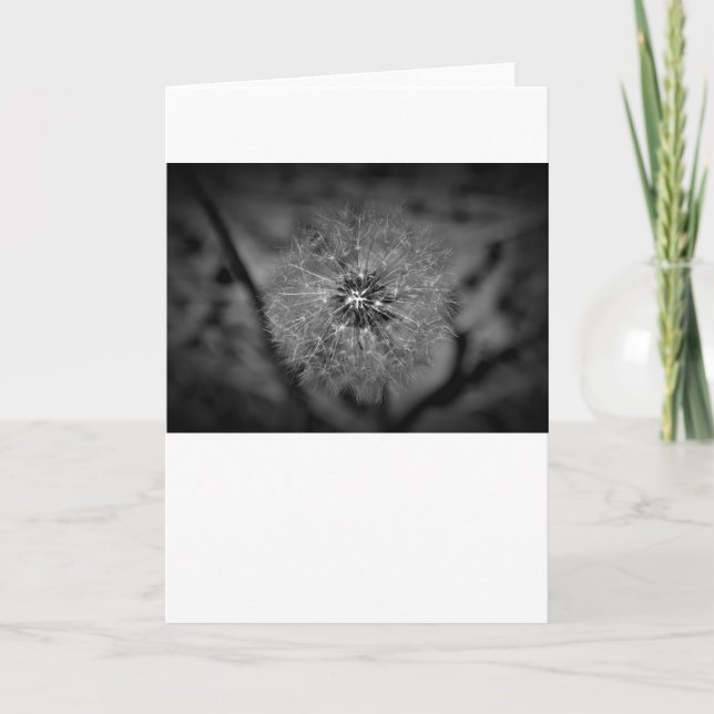 Dandelion - Noir, carte (Devant)