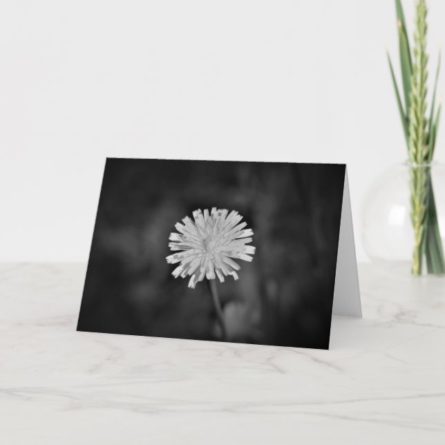 Dandelion / Noir, carte (Devant)